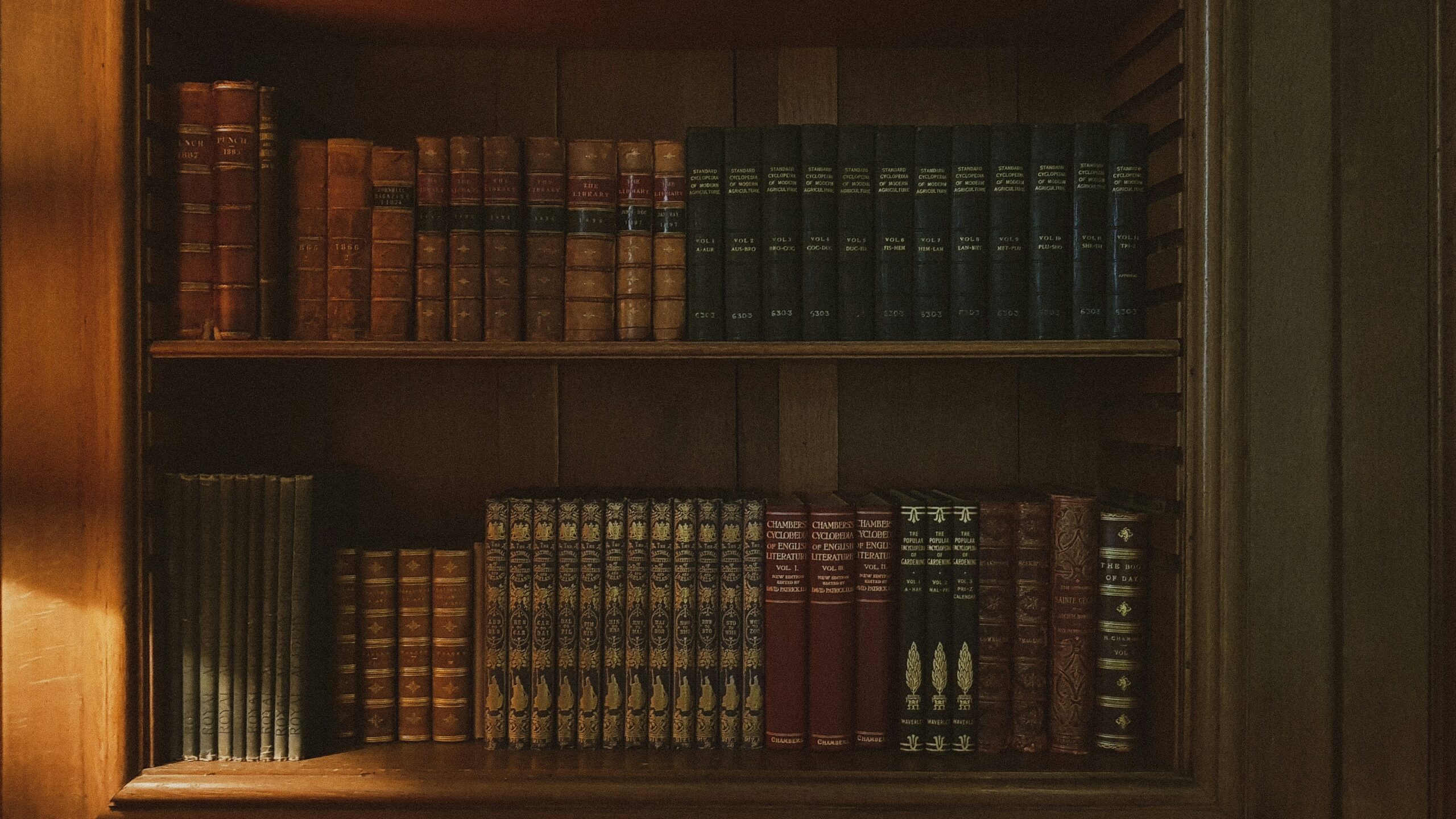 Image of the books in a library